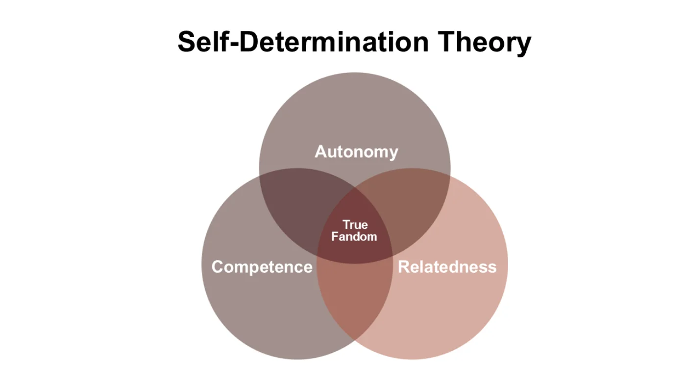 A Venn diagram titled Self-Determination Theory with three overlapping circles labelled Autonomy, Competence and Relatedness. The area where all three overlap is labelled True Fandom.